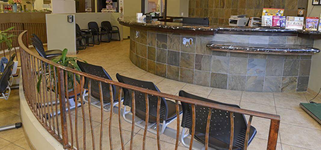 Reception and Waiting Room