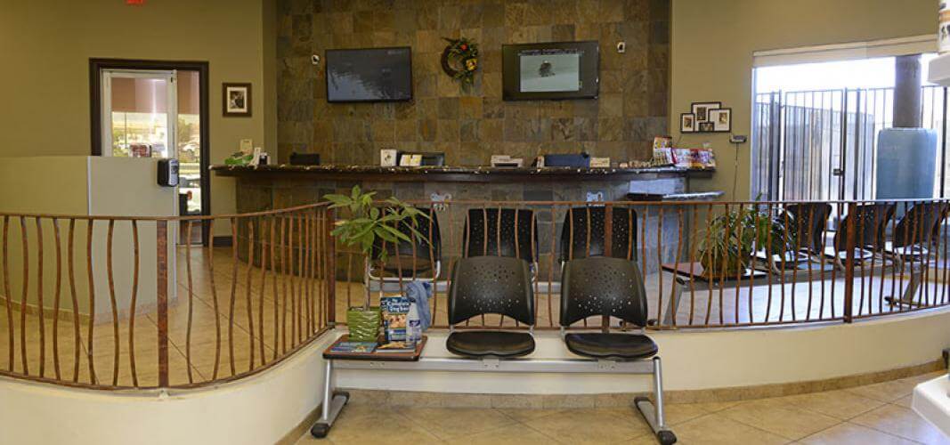 Comfortable Waiting Room