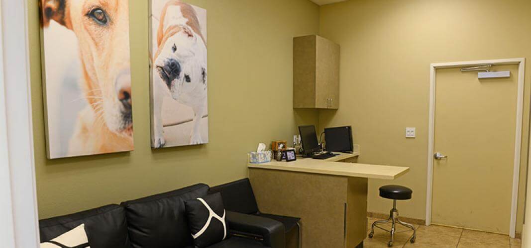 Spacious Exam Rooms