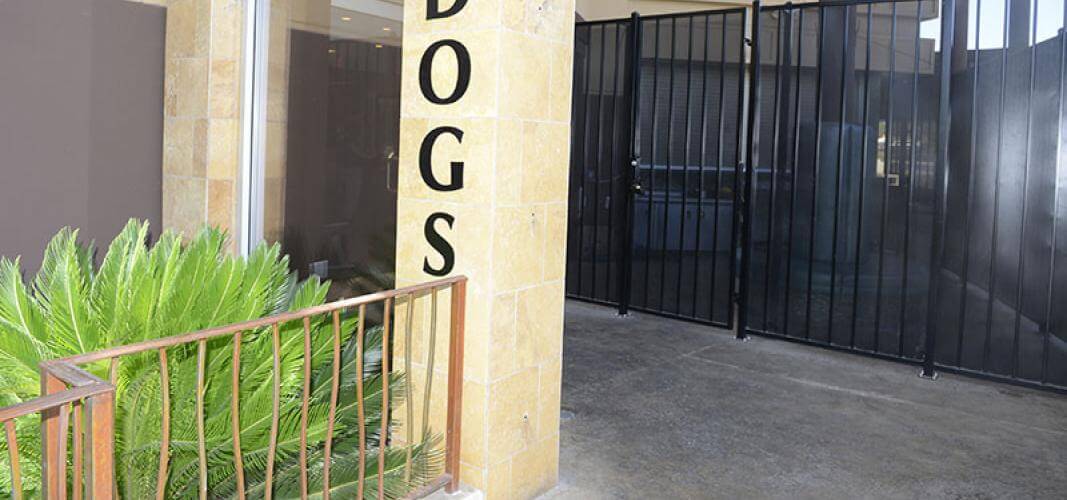 Dog Only Entrance