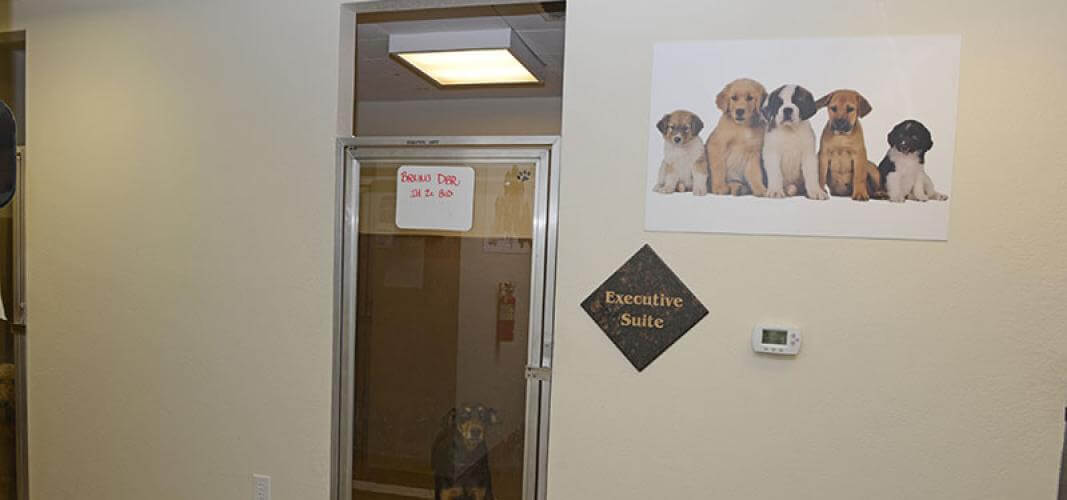 Executive Boarding Suite