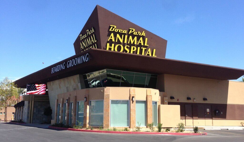 Las Vegas Veterinarian