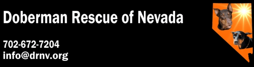 Local Animal Hospital