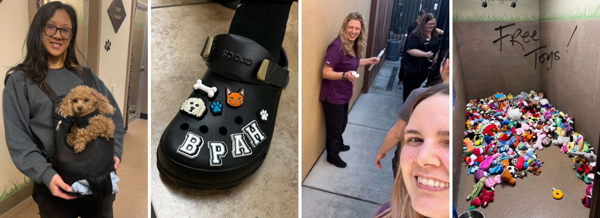 Boca Park Animal Hospital Jobs Boca Park Animal Hospital Jobs