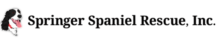 Las Vegas Veterinarian